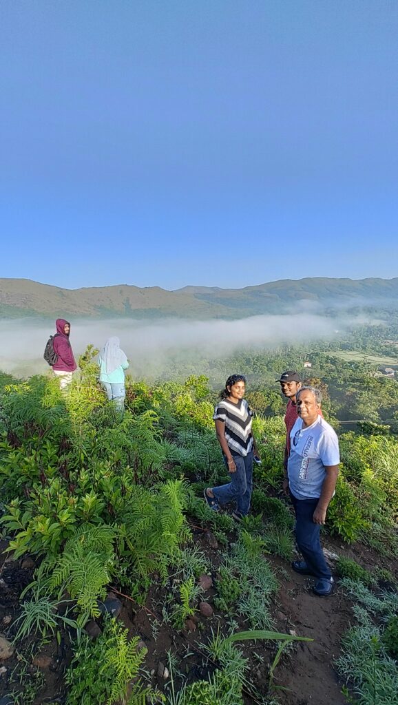 Coffee Plantation Chikmagalur